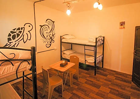 4-Bed Mixed Dormitory Room
