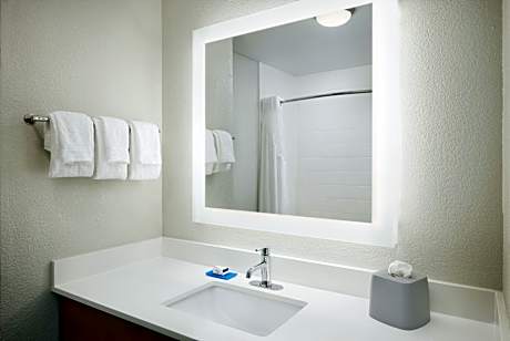1 King Standard Comm Accessible Tub