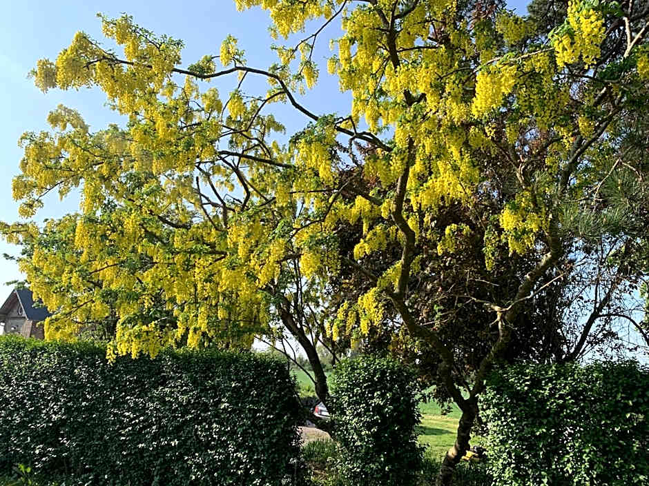 Le Manoir des Bréholles