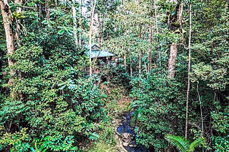 Narrows Escape Rainforest Retreat