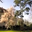 Gartenzimmer im Schloss Neuhausen