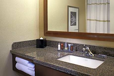 1 Bedroom Executive Suite, 1 King, Sofa bed, River view