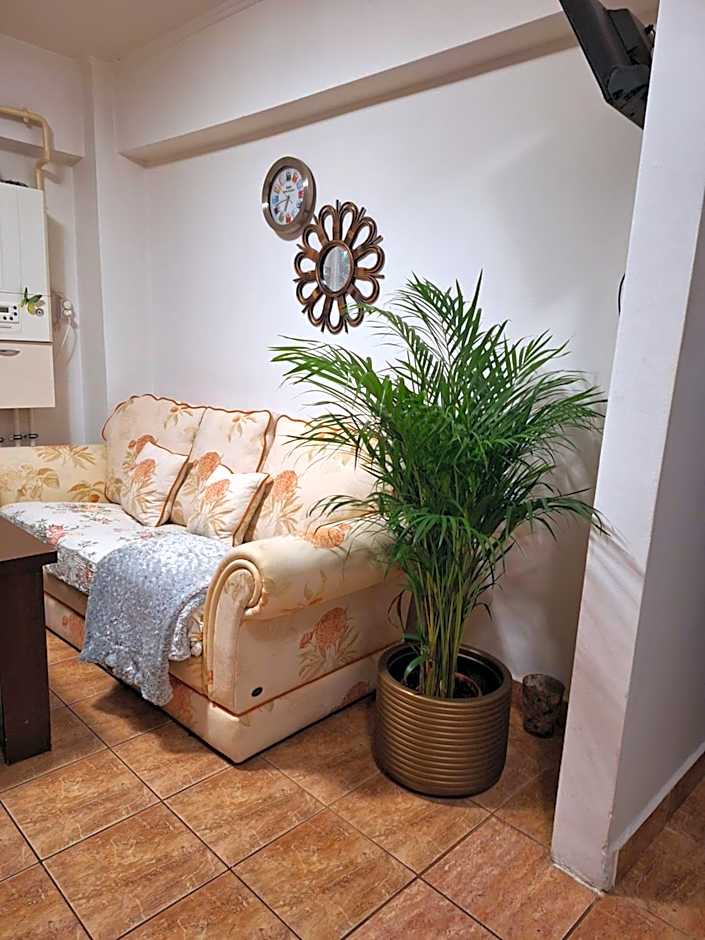 Apartament Florina