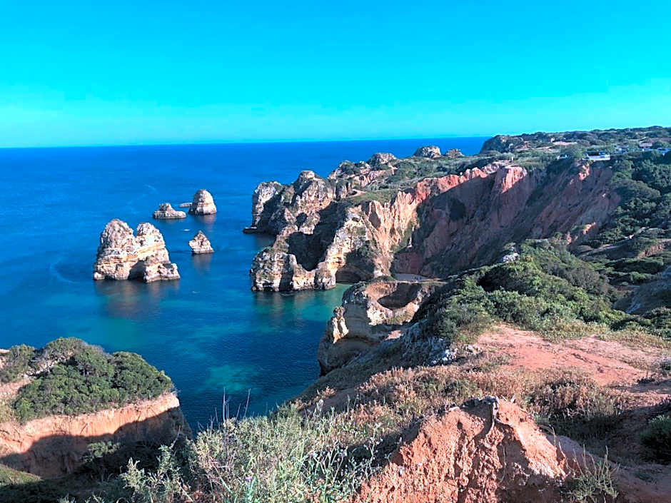 Buddha Bee - 18 to 35 years old only