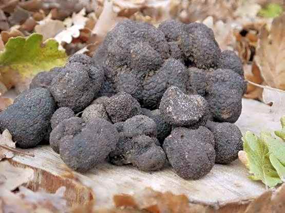 La Ferme Les Eybrachas