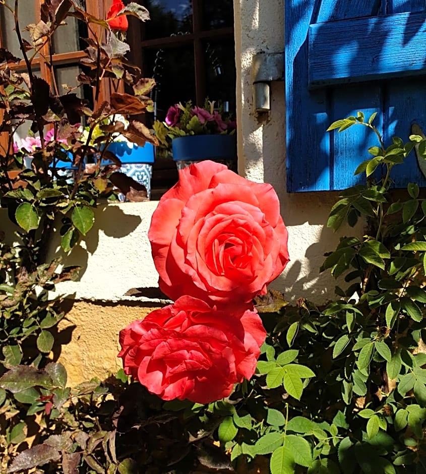 Chambre d'hôtes - B&B Le Petit Bonheur