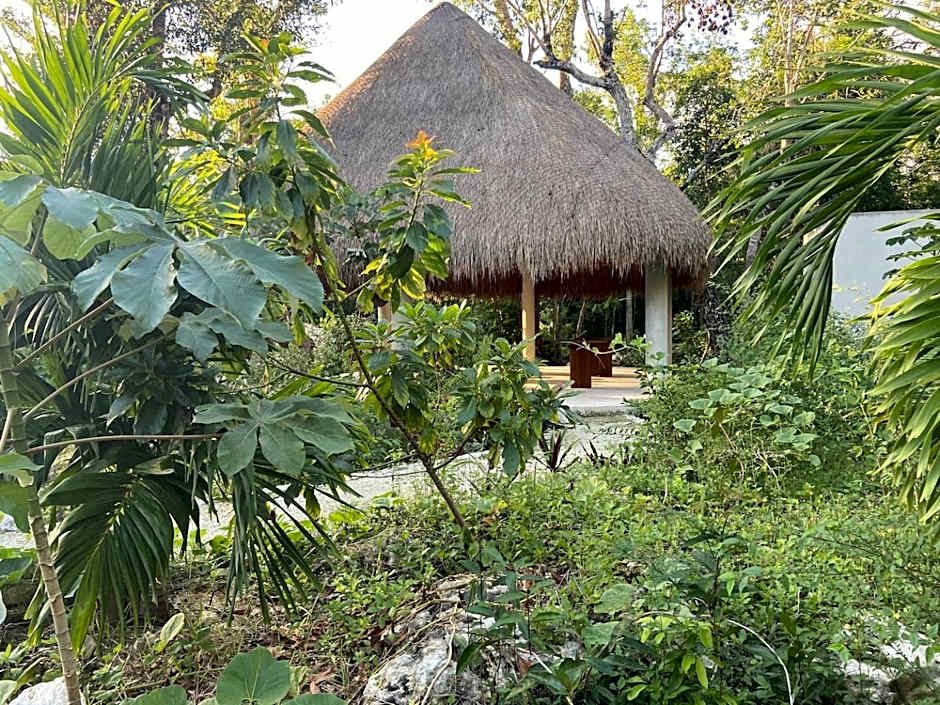 Santuario Jungle