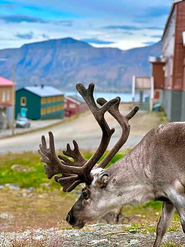 Gjestehuset 102 - your home away from home!