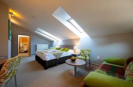 Double or Twin Room with Extra Bed