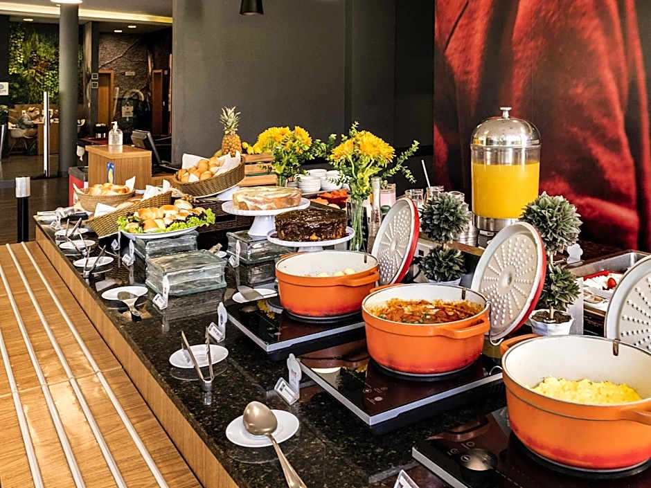 Ibis Sao Jose do Rio Preto