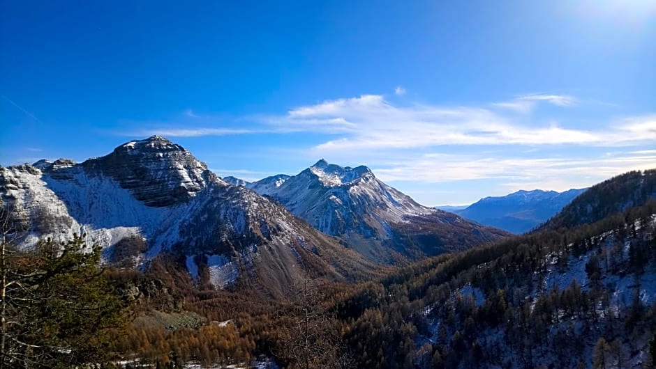 Les marmottes d Estenc