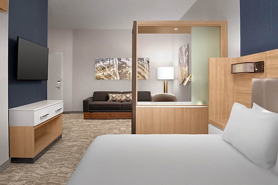 SpringHill Suites by Marriott Fayetteville