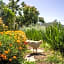 Pietrantica - Affittacamere con giardino NUOVA APERTURA a Trebiano -CITR