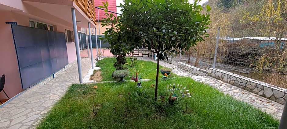 Pensiunea Aurora - Great Hostel Voineasa