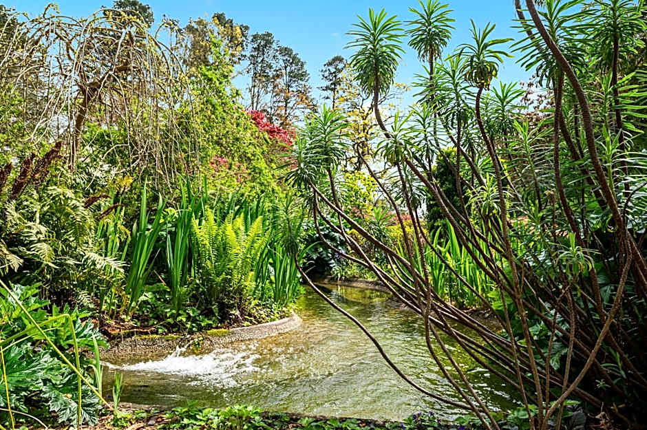 Parklands Country Gardens & Lodges Blue Mountains