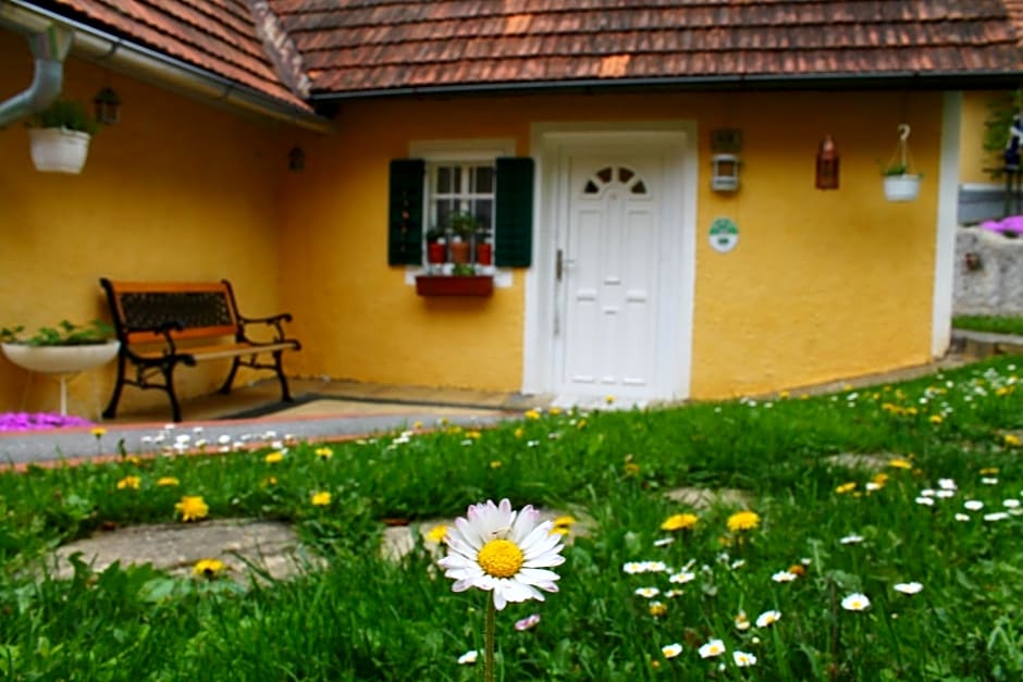 Buchschneider - Ferienhaus Maier - Landhof