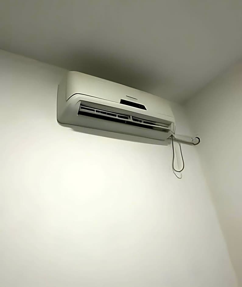 Flamingo Pé na Areia