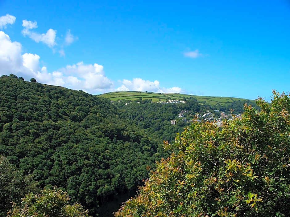 Stoke House Bed and Breakfast