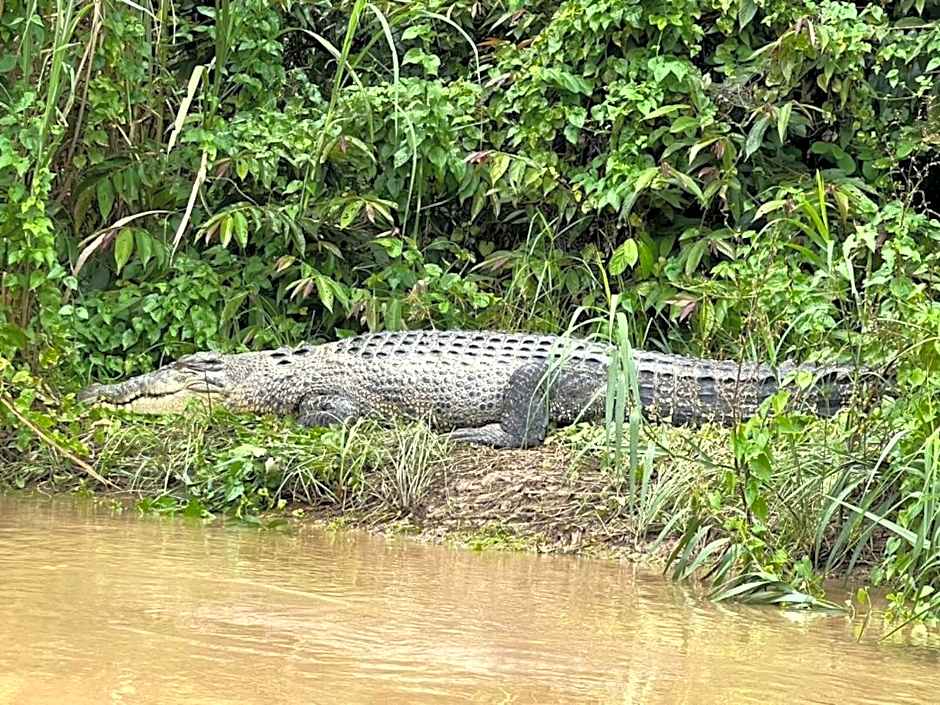 Borneo Jungle Adventure