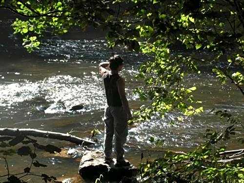 B&B-Restaurant Porte de la Lienne