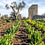 Masseria Borgo Segine - Relais nel Salento
