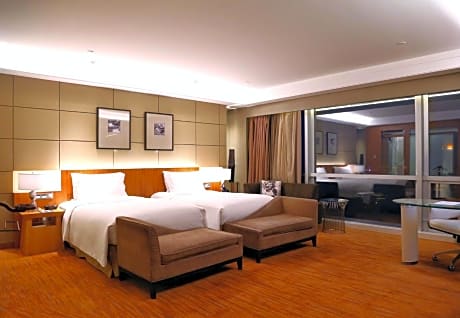 Luxury Twin Room with City View - Club Sofitel