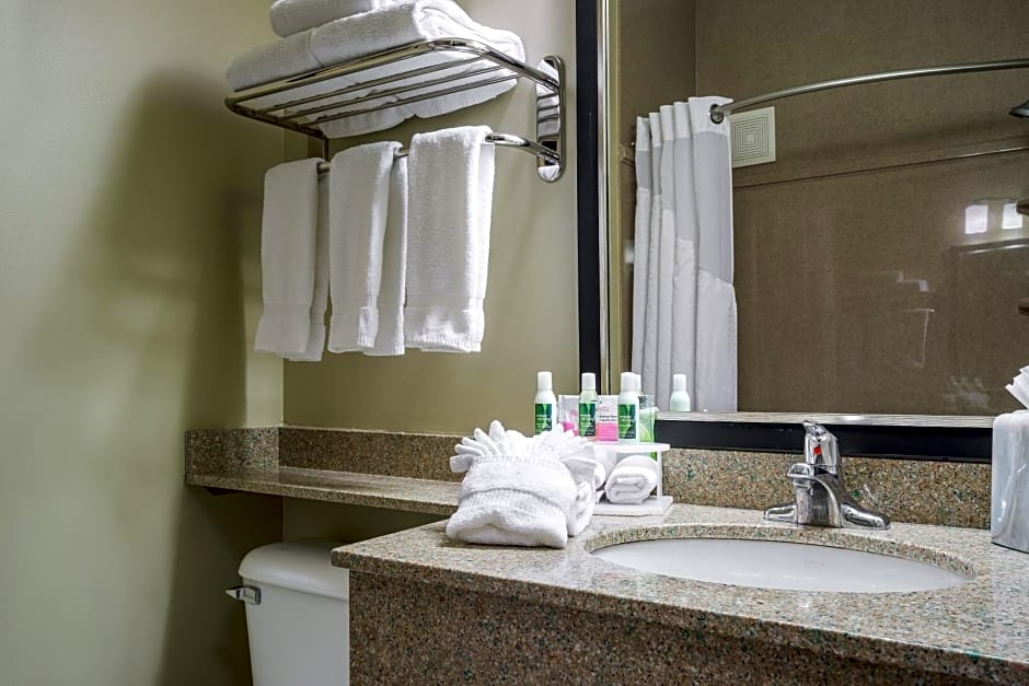 Holiday Inn Express Hotel & Suites St. Paul - Woodbury