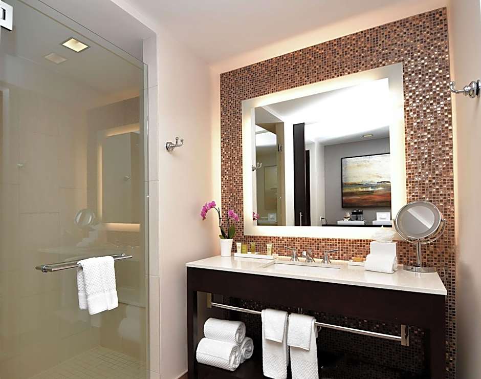 Hilton Dallas/Plano Granite Park