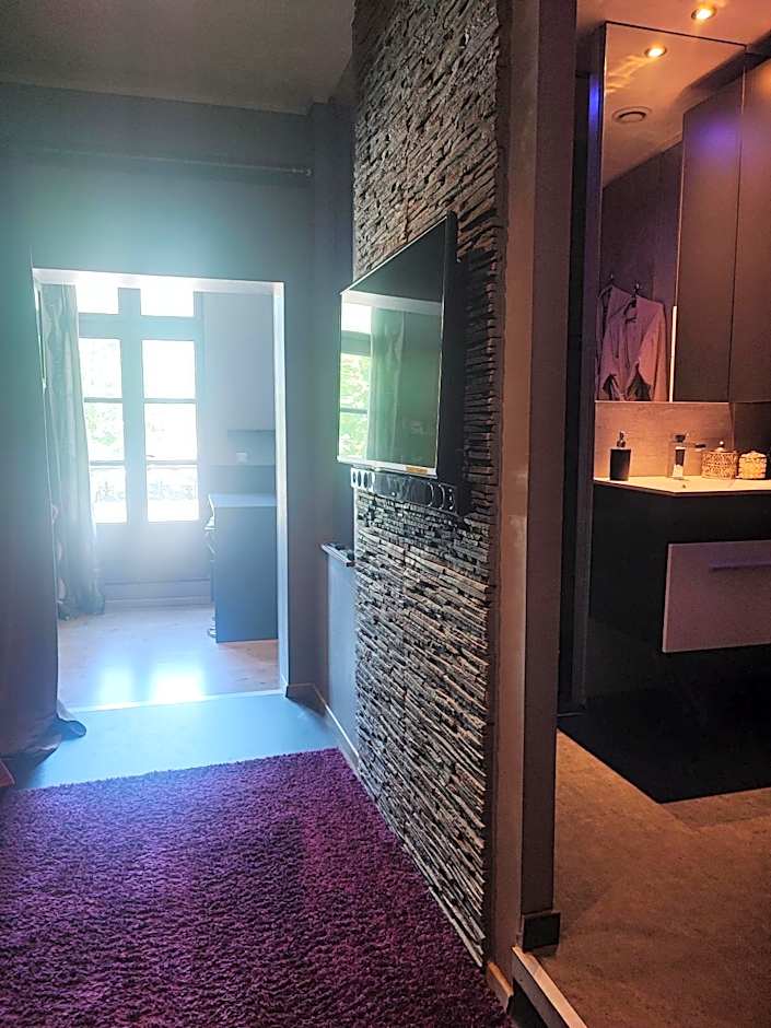 Appartement tout confort avec balnéo et lit king size