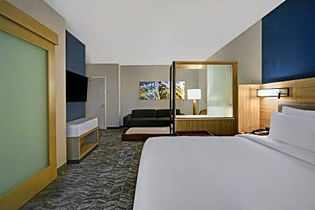 Suite, 1 King, Sofa bed