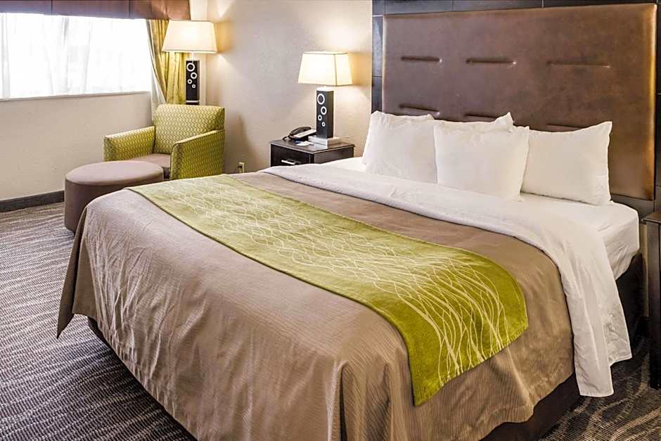 Comfort Inn Downtown Charleston