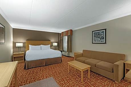 1 King Bed, Non-Smoking, Business Plus Room, Jetted Tub, Sofabed, Microwave And Refrigerator