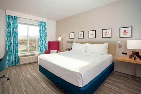 1 King Bed Hearing Access Mountain View