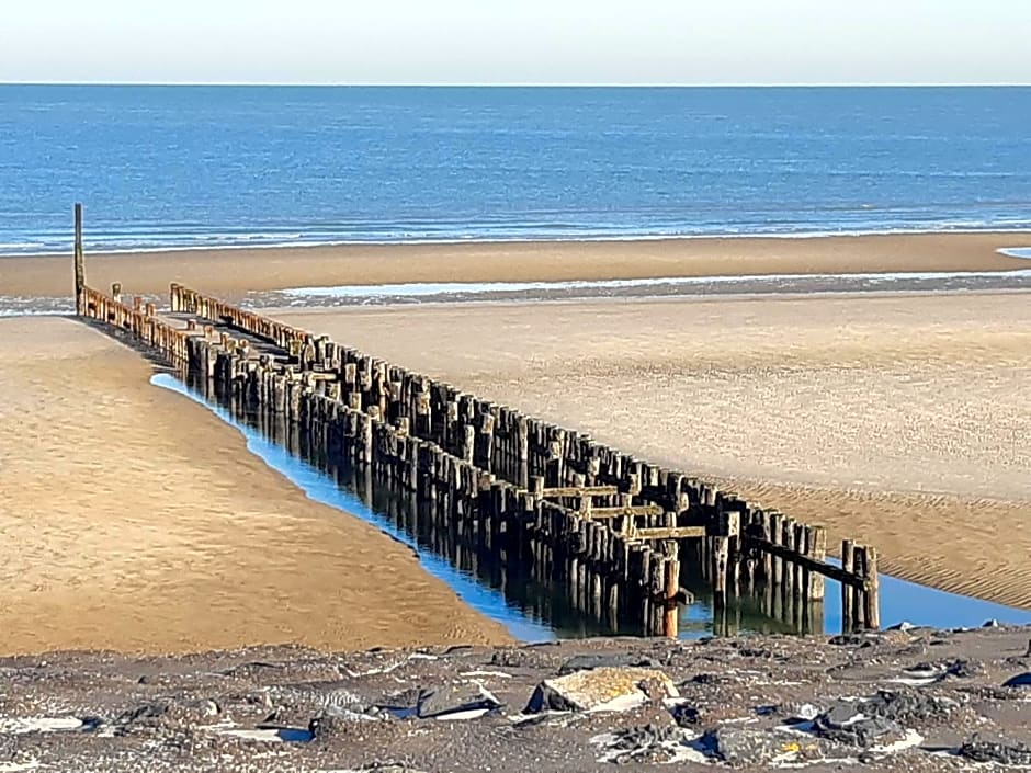 Tinyhouse de tuinfluiter