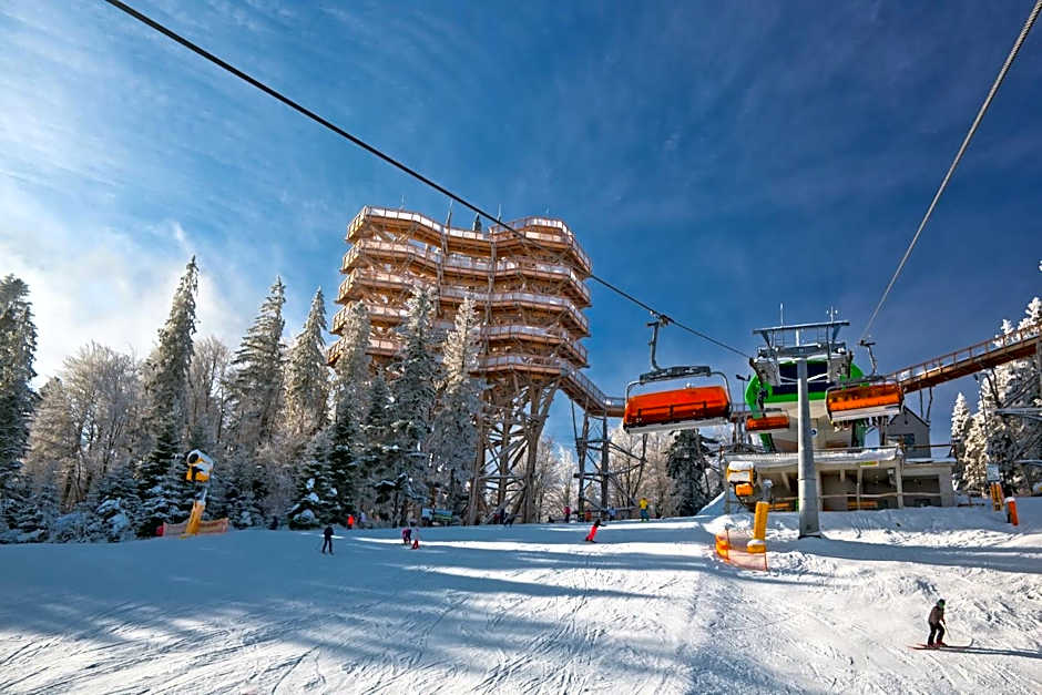 Piastun SPA&Wellness Krynica-Zdrój