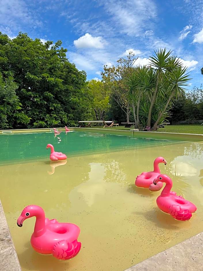 Le Patio, chambres d hôtes pour adultes en Camargue, possibilité de naturisme à la piscine,