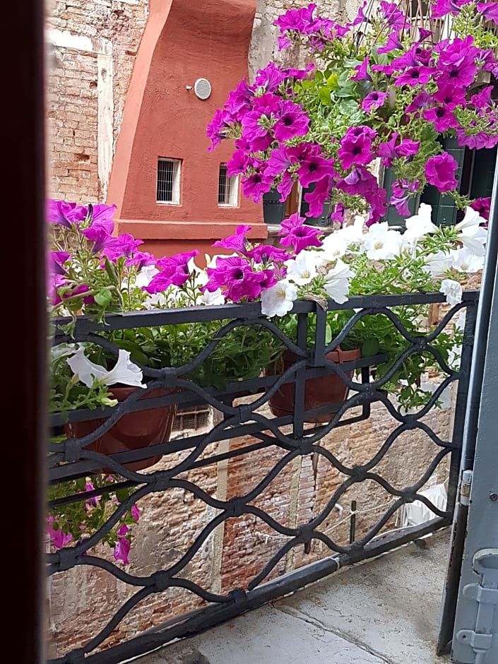 Friendly Venice Suites