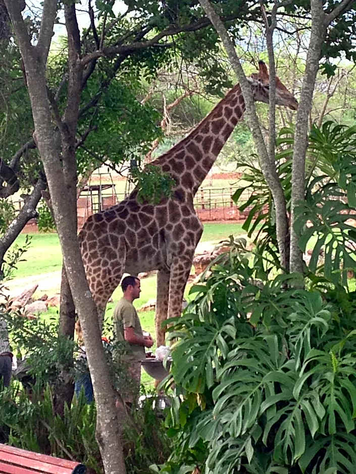 Caracal Lodge
