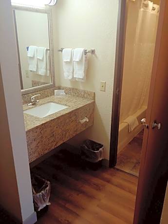 One-Bedroom King Suite - Non-Smoking