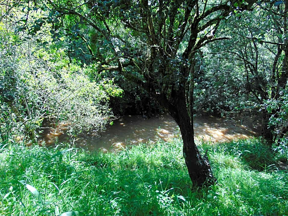 Naro Moru River Lodge