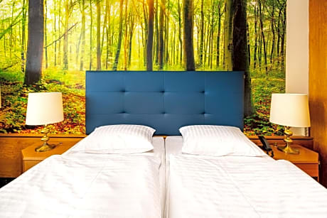 Panorama Double Room
