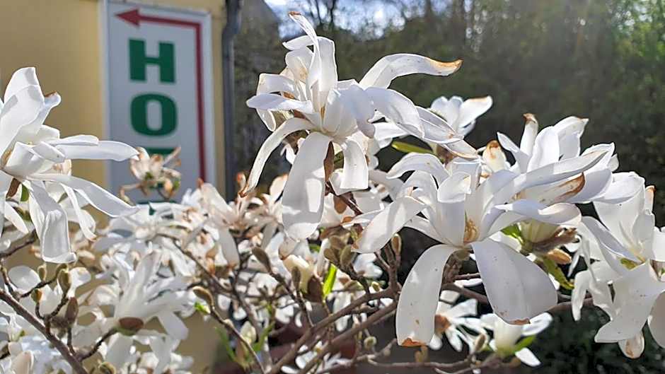 Bornholmer Hof im Prenzlauer Berg