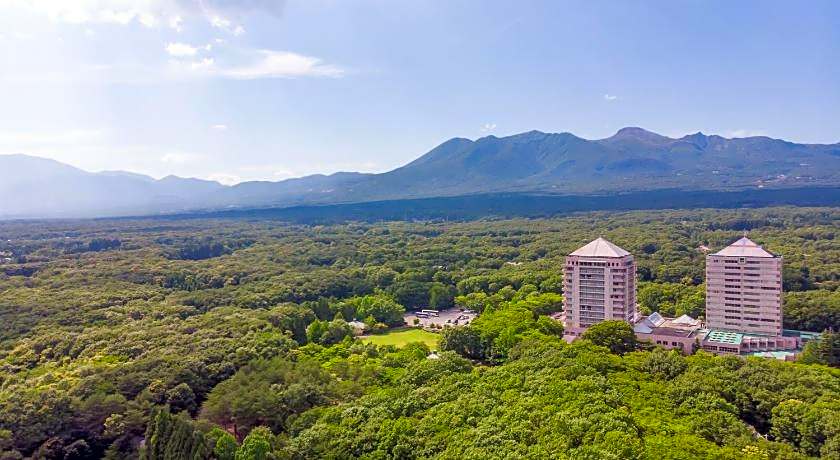 Hotel Epinard Nasu