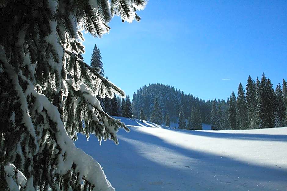 Au Coeur du Lapidaire