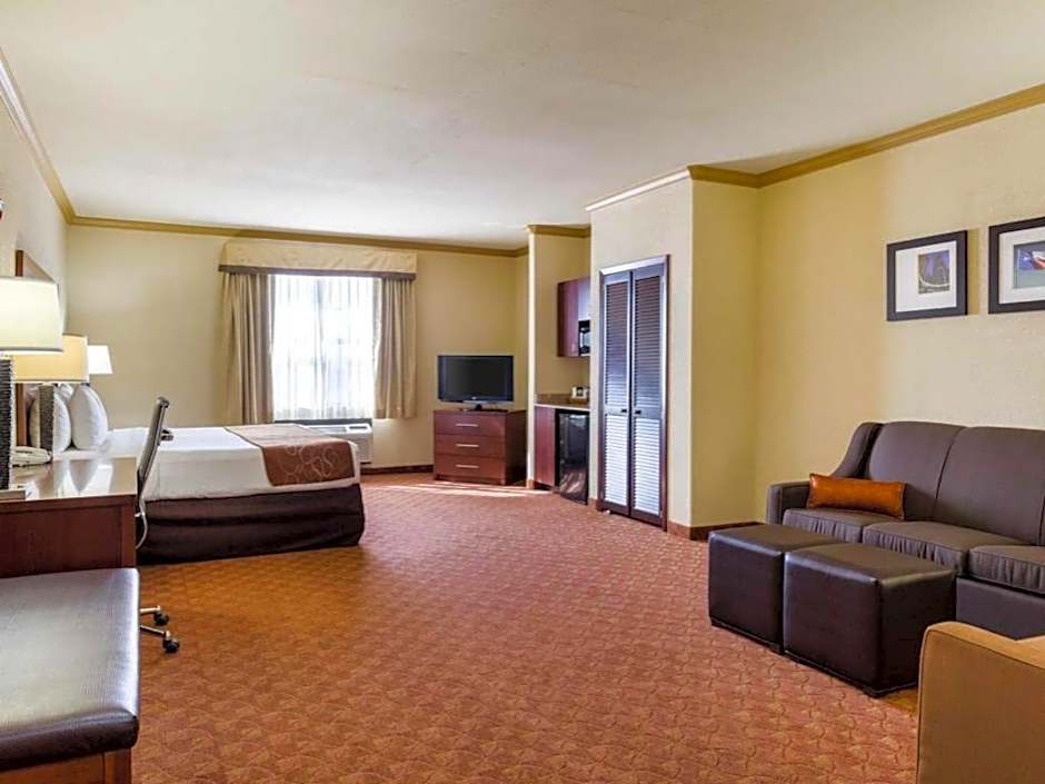Comfort Suites Near Nasa - Clear Lake