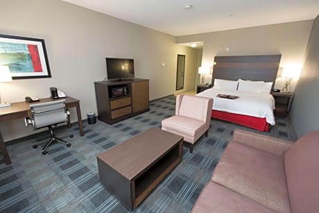 King Room with Sofa Bed - Hearing Accessible/Non-Smoking