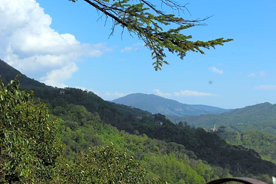Locanda del Sale Affittacamere
