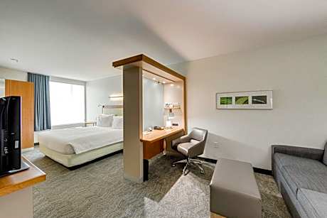 King Suite with Sofa Bed