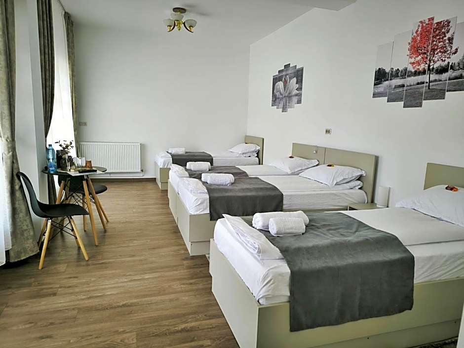 Adriana Touristik Hostel 3 Stele Arad