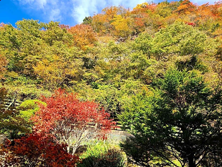 Ichimaru Ryokan - Vacation STAY 78383v